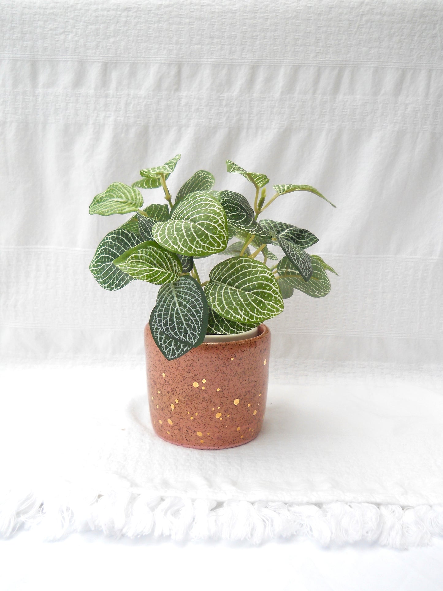 Pink Plant Pot