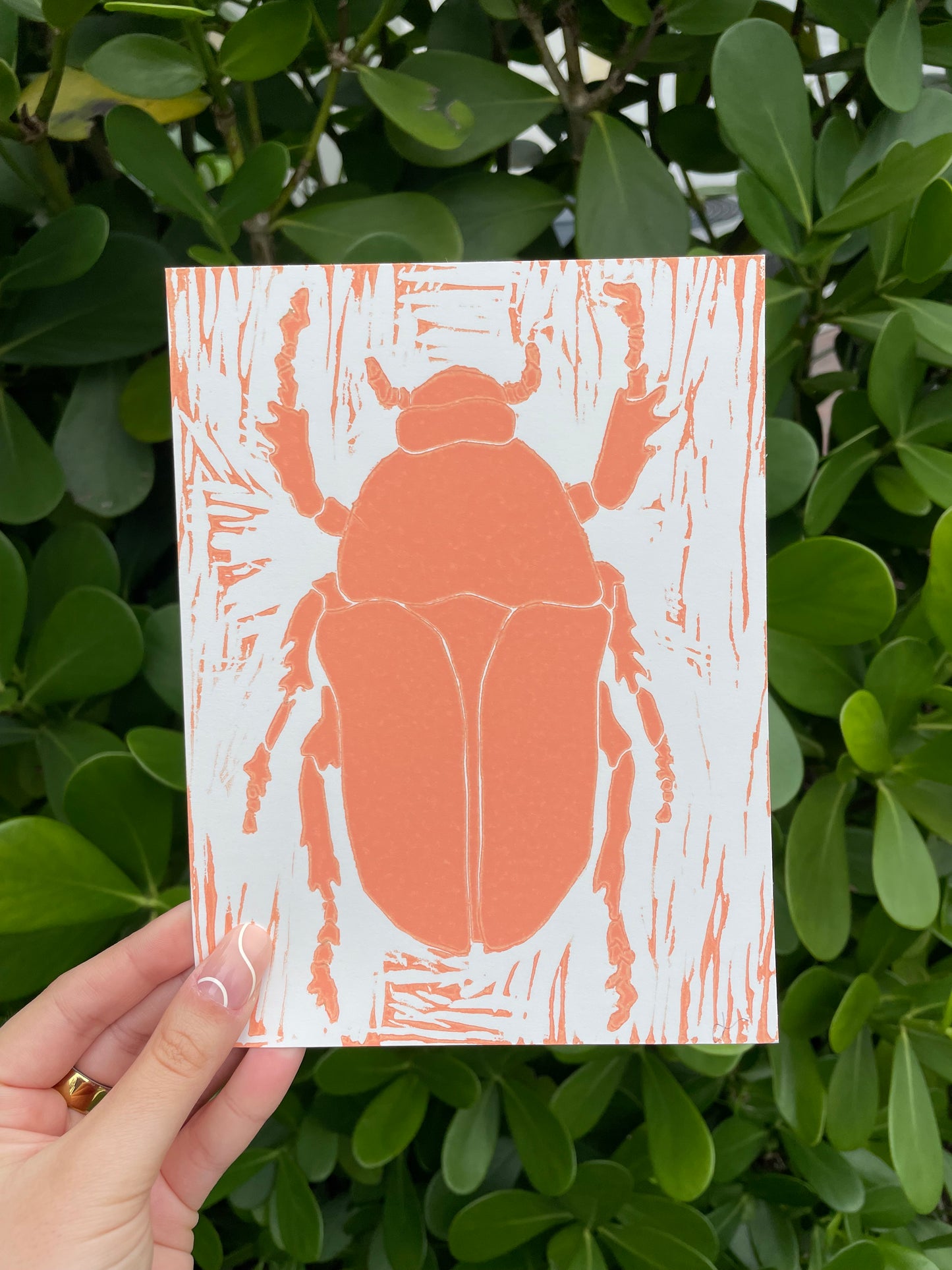 Beetle Relief Print