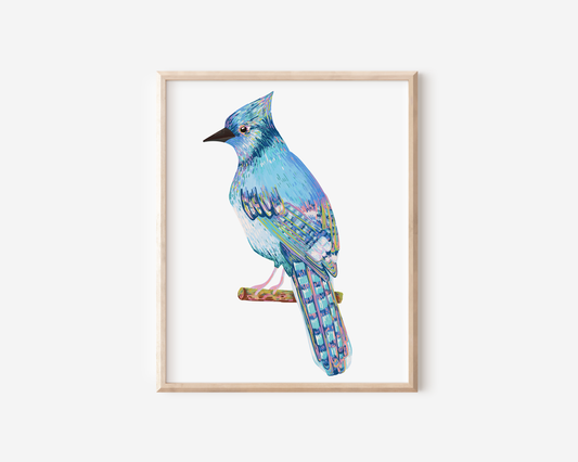 Blue Jay Art Print