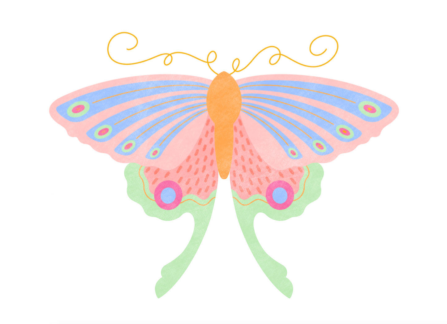 Moth No. 2 Art Print